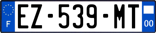 EZ-539-MT