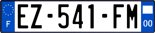 EZ-541-FM