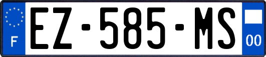 EZ-585-MS