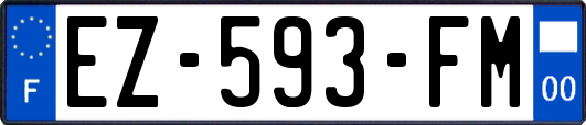 EZ-593-FM