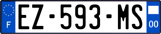 EZ-593-MS