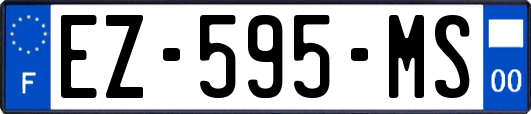 EZ-595-MS