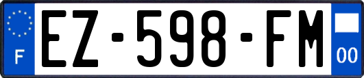 EZ-598-FM