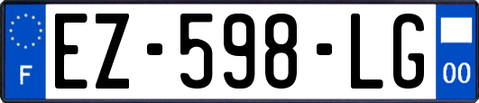 EZ-598-LG