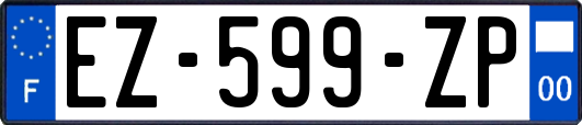 EZ-599-ZP