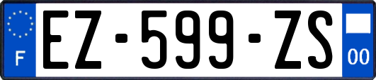 EZ-599-ZS