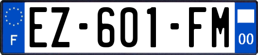 EZ-601-FM