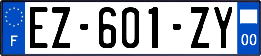 EZ-601-ZY