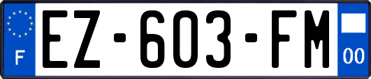 EZ-603-FM