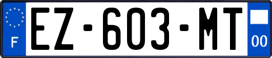 EZ-603-MT