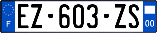 EZ-603-ZS