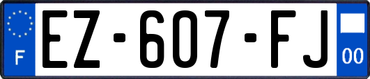 EZ-607-FJ