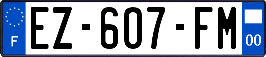 EZ-607-FM