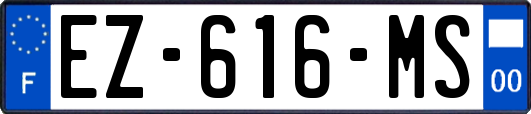 EZ-616-MS