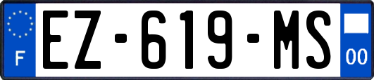 EZ-619-MS