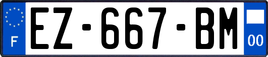 EZ-667-BM