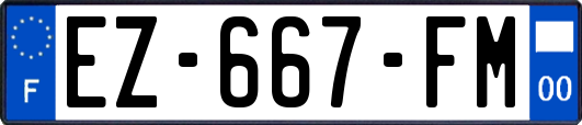 EZ-667-FM