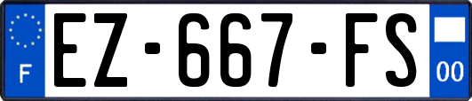 EZ-667-FS