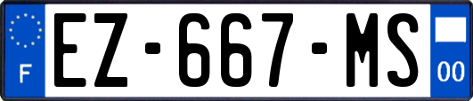 EZ-667-MS