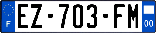 EZ-703-FM