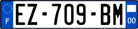 EZ-709-BM