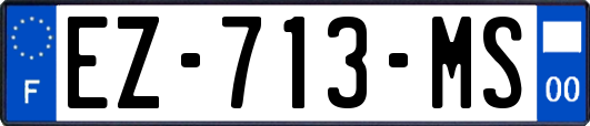 EZ-713-MS