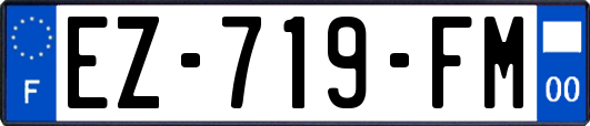 EZ-719-FM