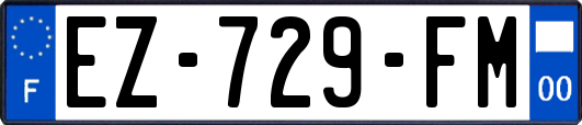 EZ-729-FM