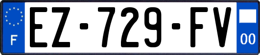 EZ-729-FV