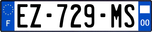 EZ-729-MS