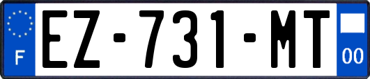 EZ-731-MT