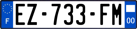 EZ-733-FM