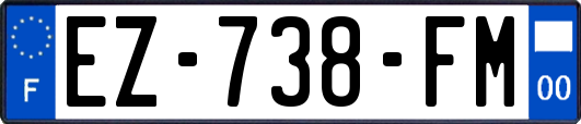 EZ-738-FM