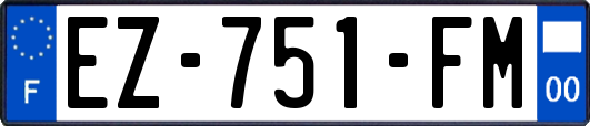 EZ-751-FM