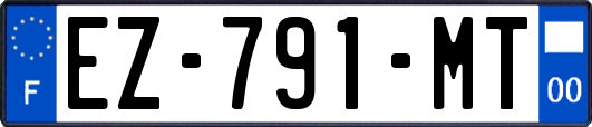 EZ-791-MT