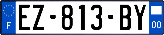 EZ-813-BY