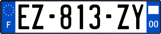 EZ-813-ZY