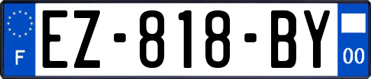 EZ-818-BY