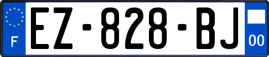 EZ-828-BJ