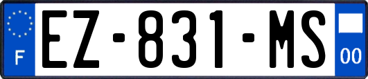 EZ-831-MS