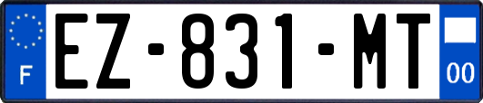 EZ-831-MT