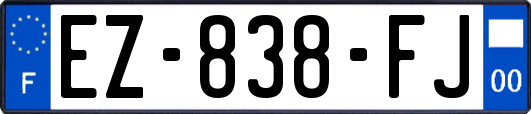 EZ-838-FJ