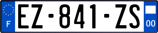EZ-841-ZS