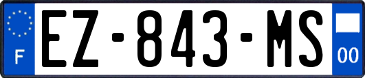 EZ-843-MS