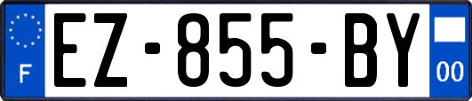 EZ-855-BY