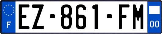 EZ-861-FM