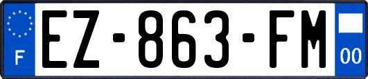 EZ-863-FM