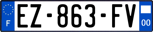 EZ-863-FV