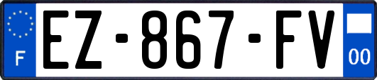 EZ-867-FV