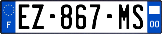 EZ-867-MS